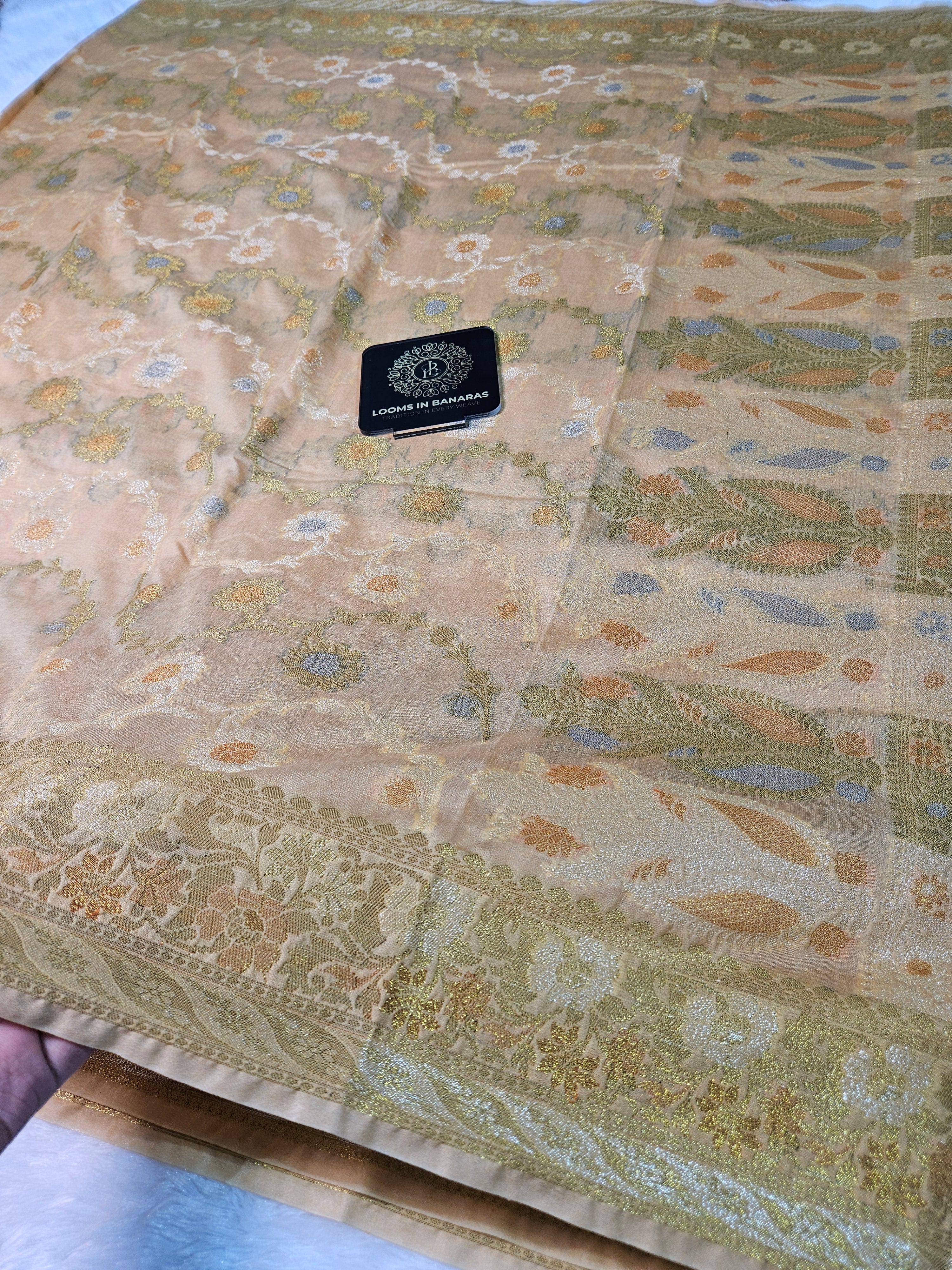 Banarasi Georgette Beige Gold Saree with Nimzari Border Jaal